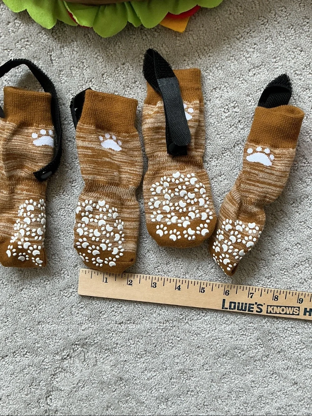 Dog Halloween costumes and socks -  Burger Costume and Zebra Print Pajamas, sock
